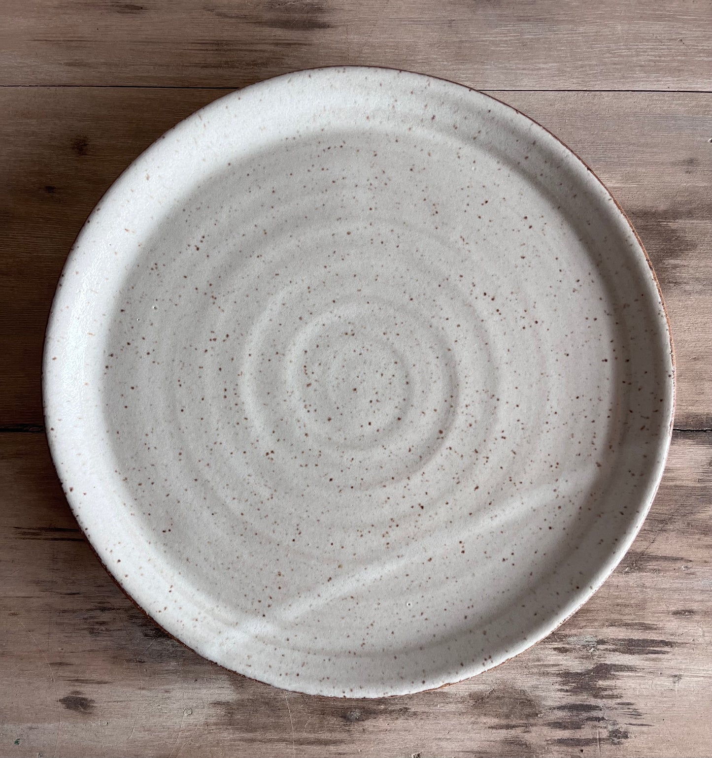 Large Dinner Plate / Serving Platter